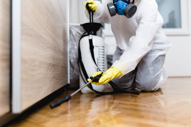 Best Cockroach Control Services  in Danielson, CT