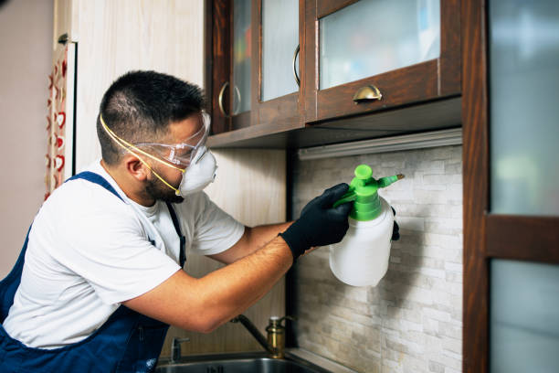 Best Best Pest Control Companies  in Danielson, CT