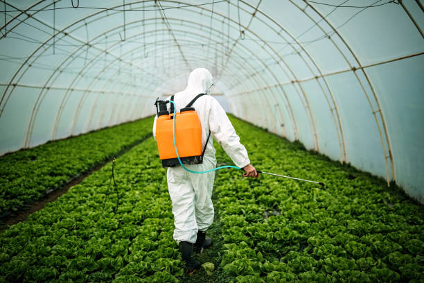 Best Pest Removal Services  in Danielson, CT