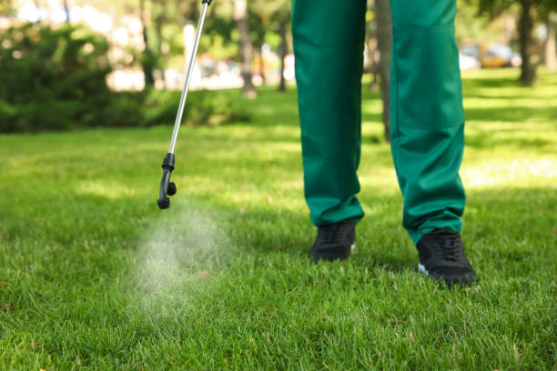 Best Ant Control Services  in Danielson, CT