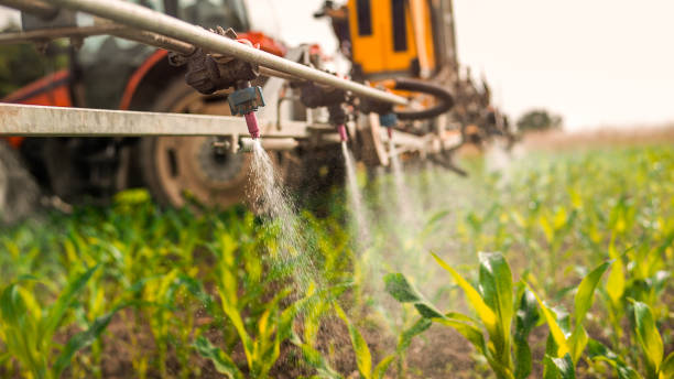 Pest Control Cost in Danielson, CT